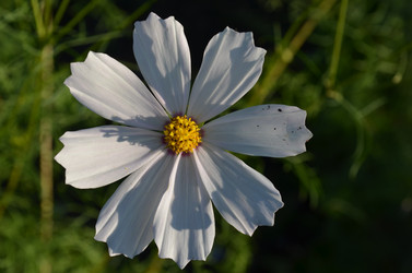 Similar image 22424620