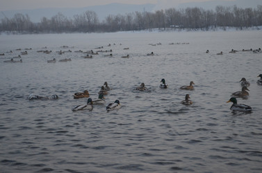 Similar image 22424621