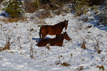 Similar image 22424622