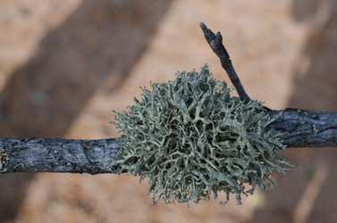 Similar image 22424624