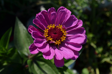 Similar image 22424625