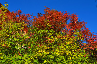 Similar image 22424627