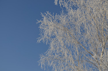 Similar image 22424628