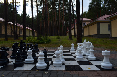 Similar image 22424629