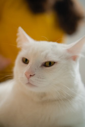 Similar image 22427608