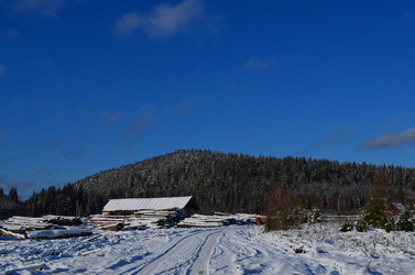 Similar image 22424633