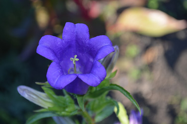 Similar image 22424638