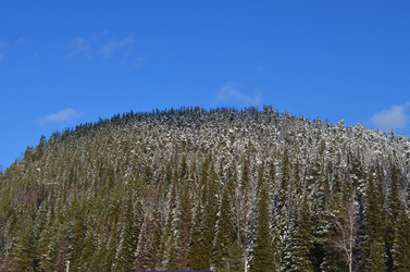 Similar image 22424639