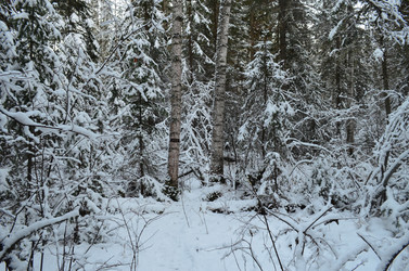 Similar image 22424640