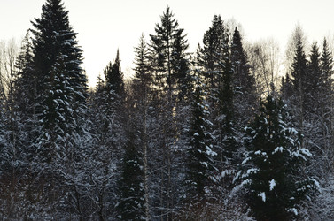 Similar image 22424641