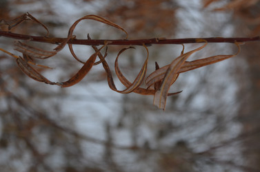 Similar image 22424643