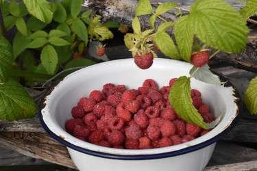 Similar image 22436188