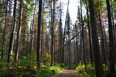 Similar image 22424644