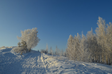 Similar image 22424645