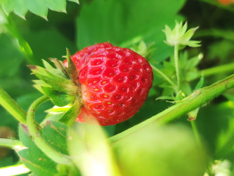 Similar image 22424650