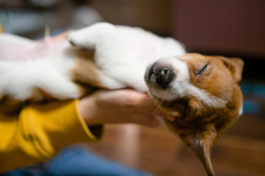 Similar image 22427622