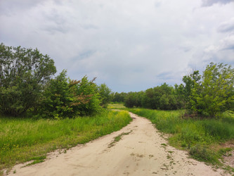 Similar image 22424652