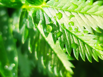 Similar image 22424656