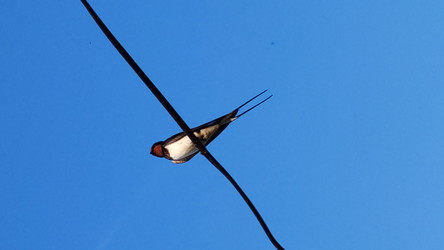 Similar image 22424657