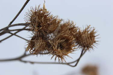 Similar image 22424658