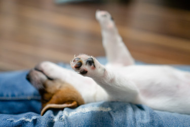 Similar image 22427623