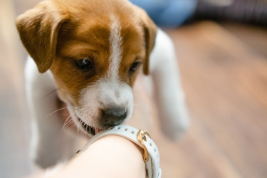 Similar image 22427624