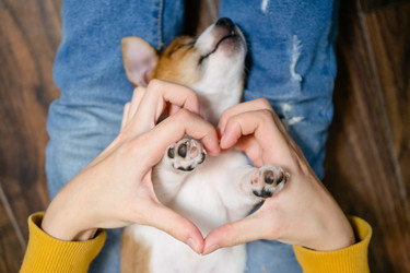 Similar image 22427625