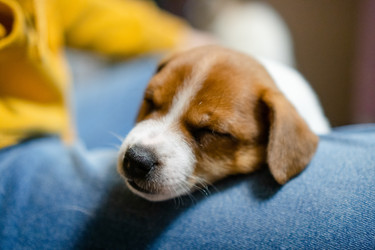 Similar image 22427627