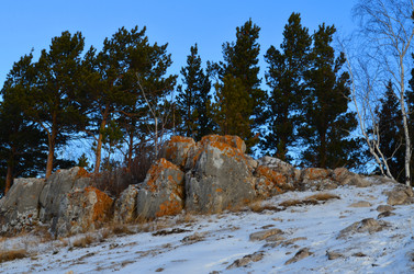 Similar image 22424663