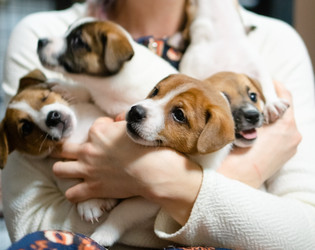 Similar image 22427628