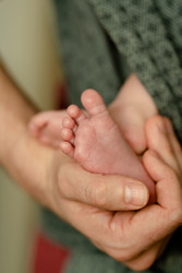 Similar image 22427629