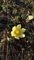 Similar image 22424666