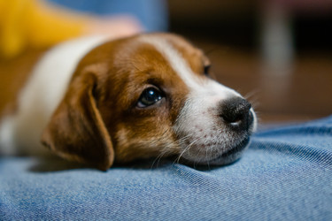 Similar image 22427630