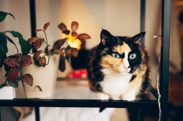 Similar image 22416621