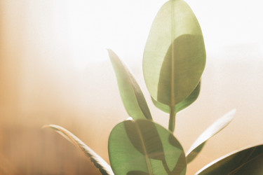 Similar image 22416622