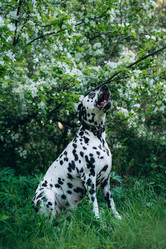 Similar image 22416624