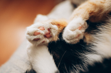 Similar image 22416626