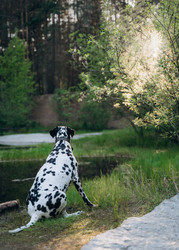 Similar image 22416627