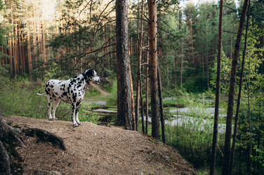 Similar image 22416628