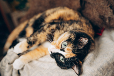 Similar image 22416629