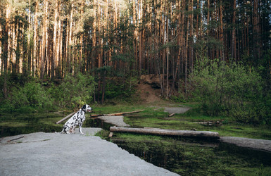 Similar image 22416631