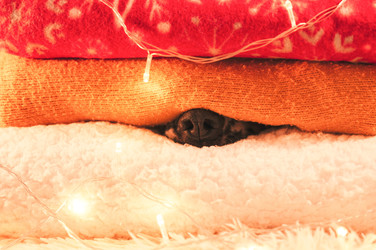 Similar image 22416632