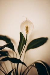 Similar image 22416633