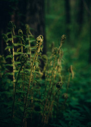 Similar image 22416634