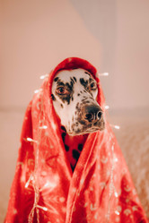 Similar image 22416635