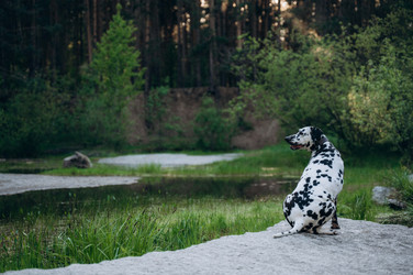 Similar image 22416642