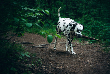 Similar image 22416643