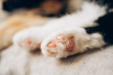 Similar image 22416659