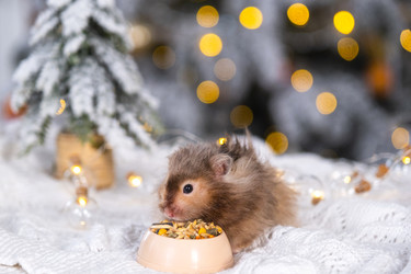 Similar image 22436711