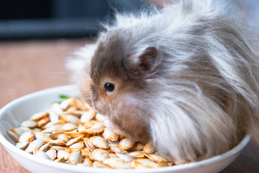 Similar image 22436737